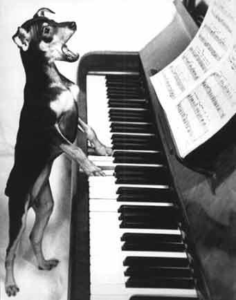 singingdog.jpg